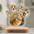 Luminaria Noturna Memorial Pet