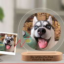 Luminaria Noturna Memorial Pet