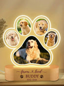 Luminaria Noturna Memorial Pet