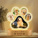 Luminaria Noturna Memorial Pet