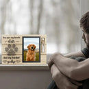 Santuário da Memória: Porta-Retrato Memorial para Pets
