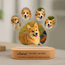Luminaria Noturna Memorial Pet