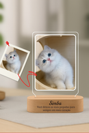 Luminaria Noturna Memorial Pet
