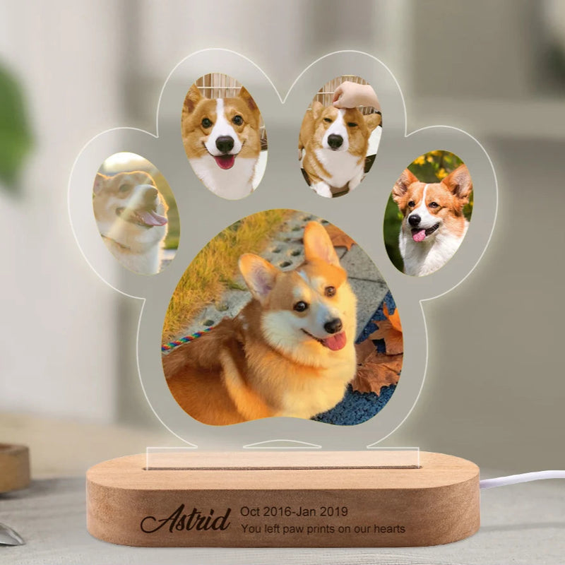 Luminaria Noturna Memorial Pet