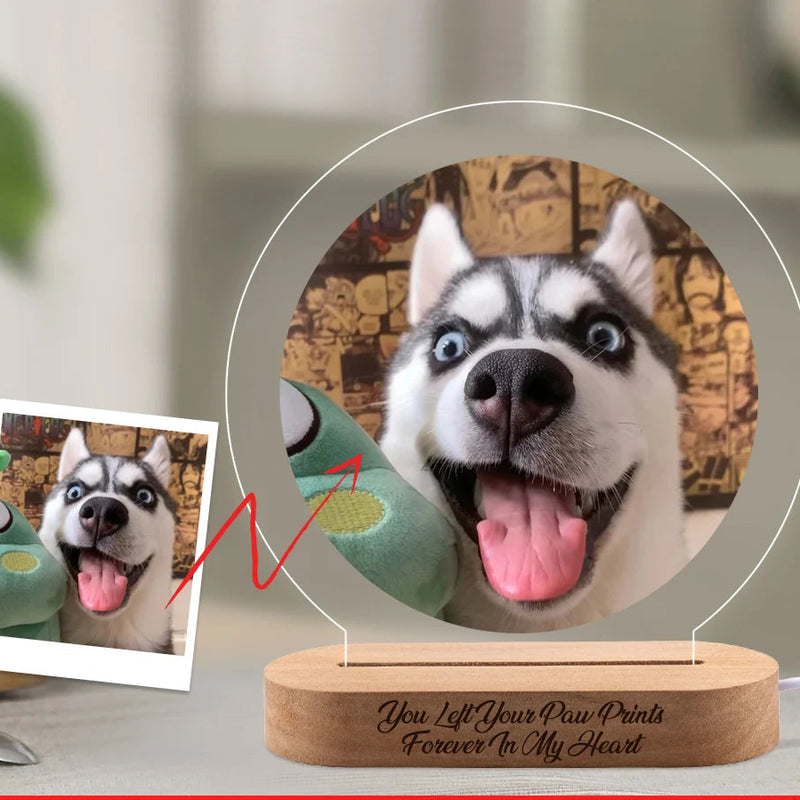 Luminaria Noturna Memorial Pet