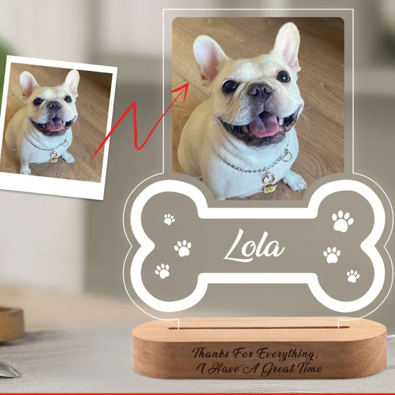 Luminaria Noturna Memorial Pet