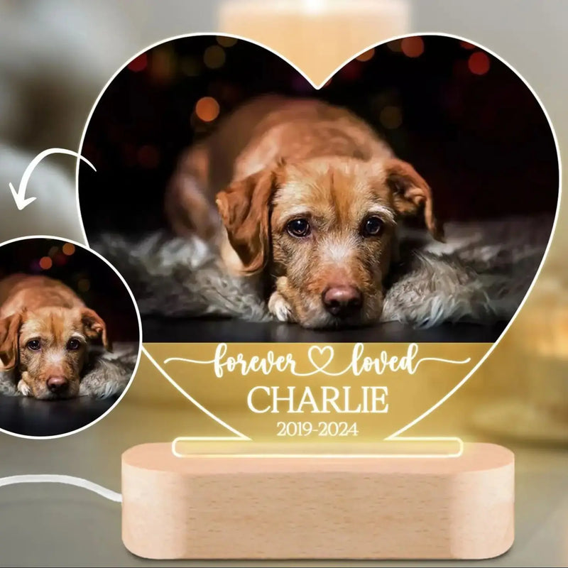 Luminaria Noturna Memorial Pet