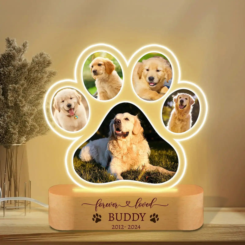 Luminaria Noturna Memorial Pet