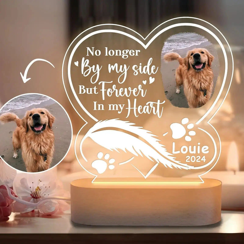 Luminaria Noturna Memorial Pet