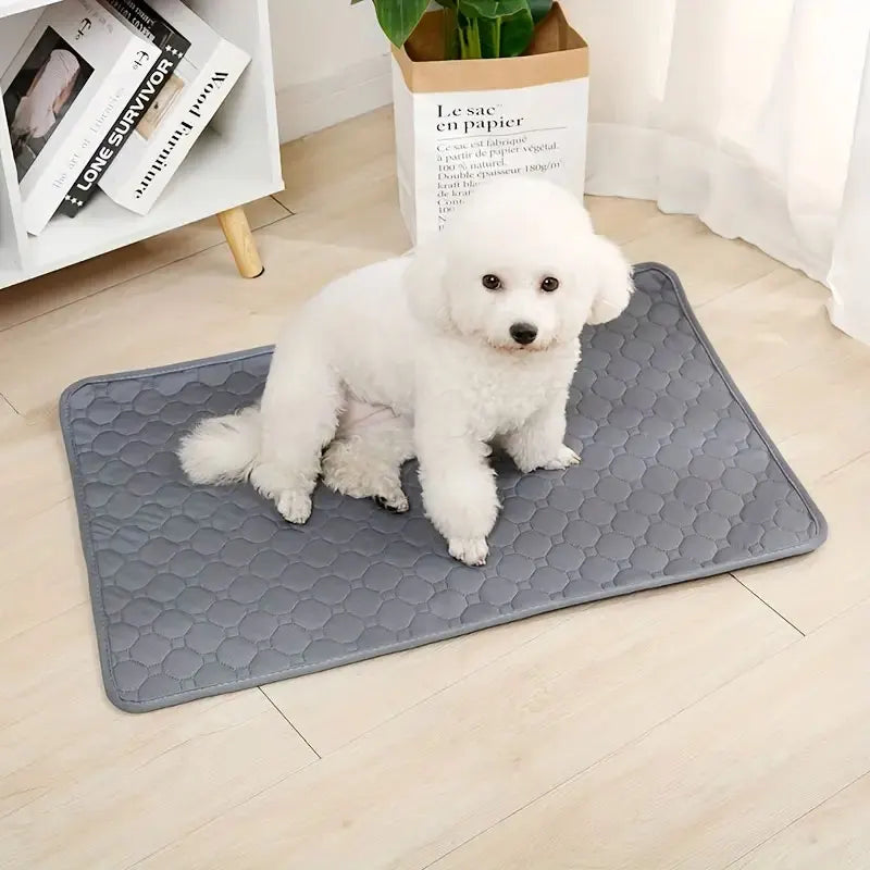 Tapete Higiênico com Rápida Absorção