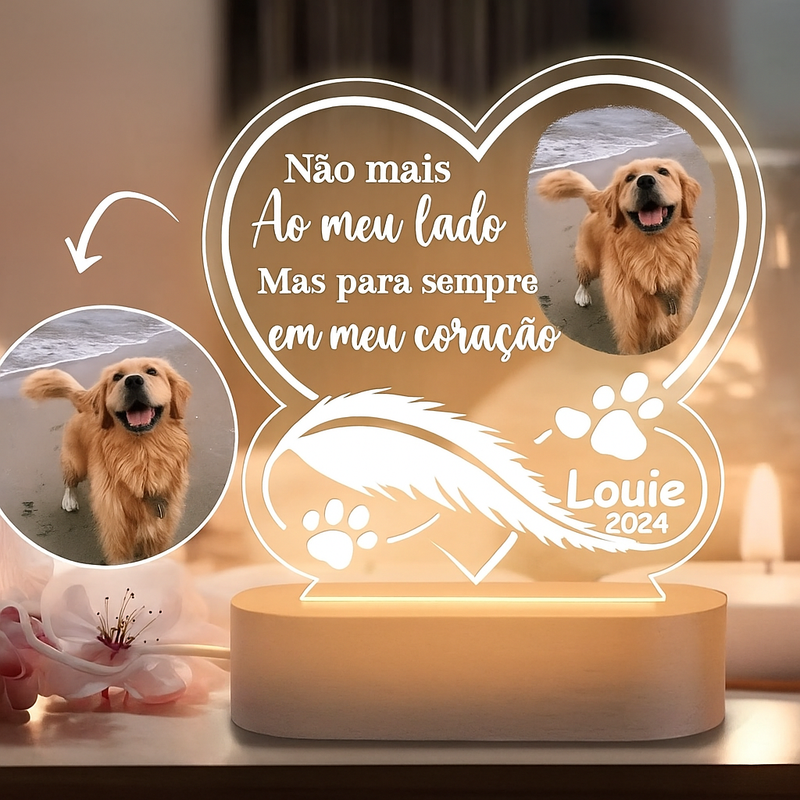 Luminaria Noturna Memorial Pet