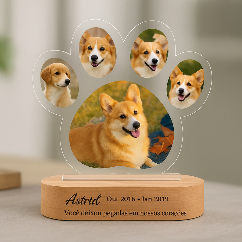 Luminaria Noturna Memorial Pet
