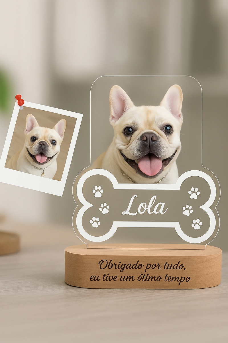Luminaria Noturna Memorial Pet